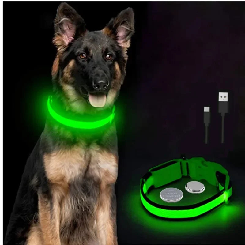 LED Glow Dog Collar – USB Rechargeable Night Safety Collar