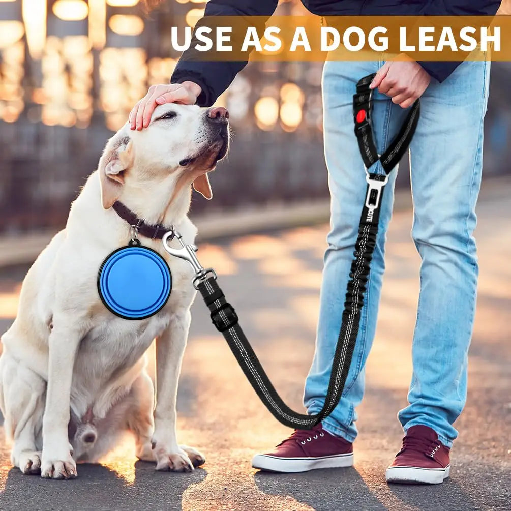 2-in-1 Dog Harness with Leash and Car Seat Belt Strap