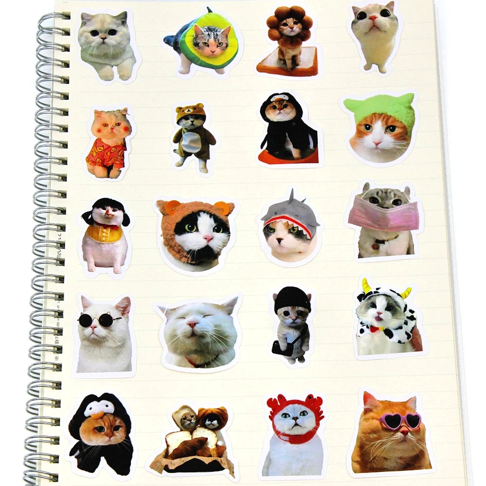 Funny Cat Sticker Pack, Cute Waterproof Decals for Cat Lovers