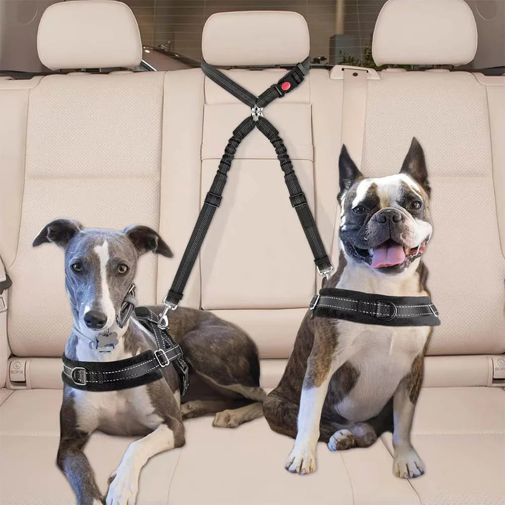 Double Dog Car Headrest Restraint, Tangle-Free Seat Belt for 2 Dogs