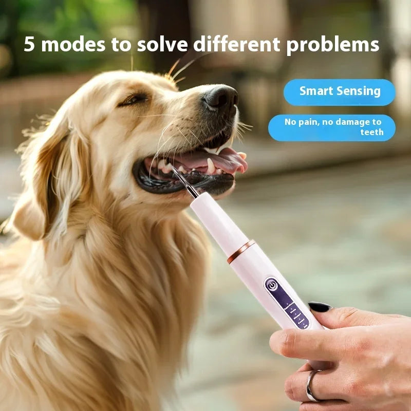 Ultrasonic Pet Tooth Cleaner for Dogs & Cats, Tartar & Plaque Remover