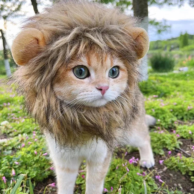 Halloween Lion Mane Wig Costume Hat with Ears for Cats & Small Dogs