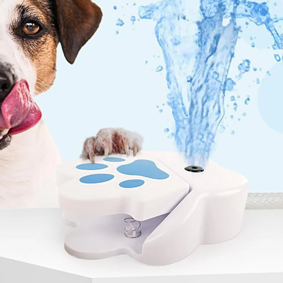 Step-On Dog Water Fountain, Paw-Activated Outdoor Drinker