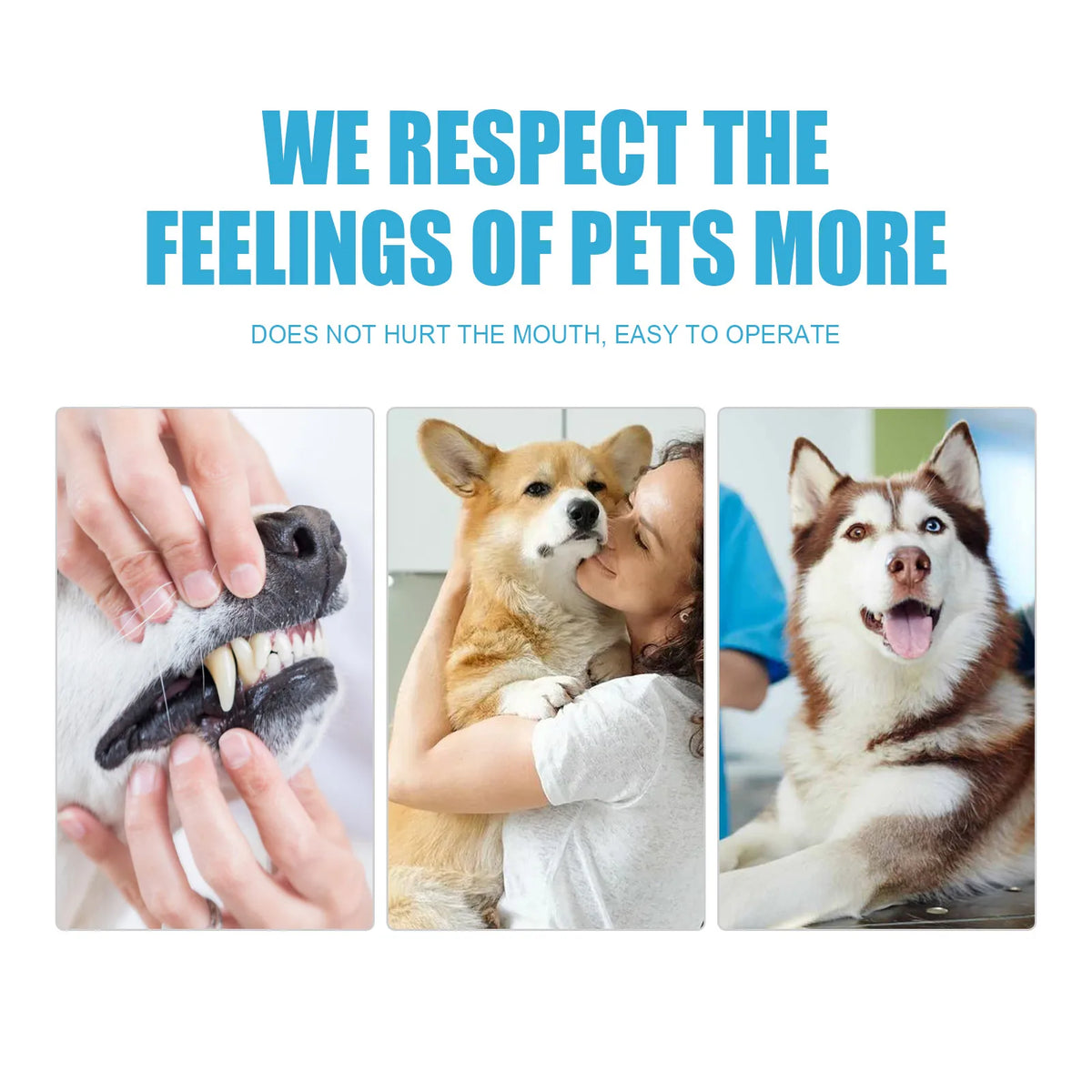 Edible Pet Toothpaste for Dogs and Cats, Tartar Control Fresh Breath