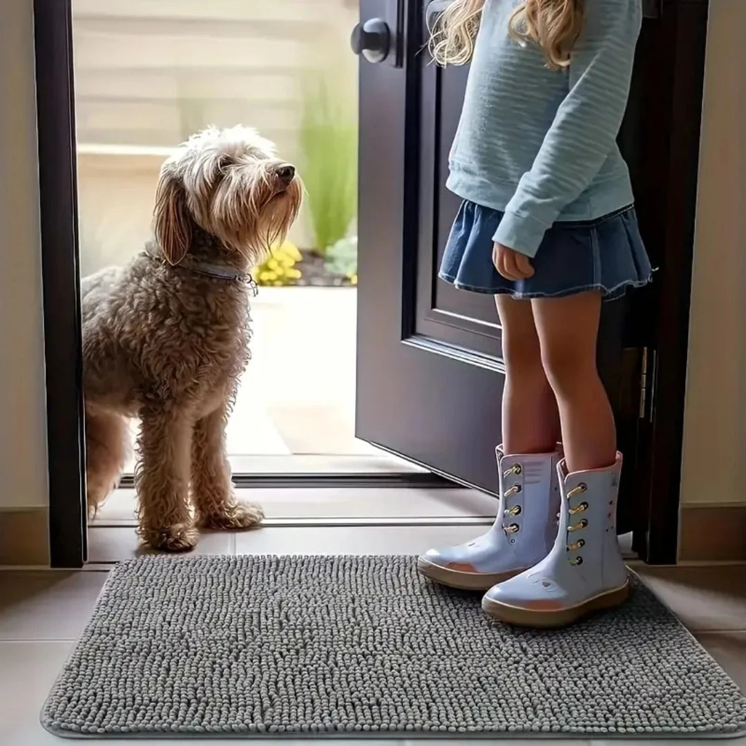 Absorbent Dog Paw Cleaner Door Mat – Washable Non-Slip Mud Catcher Rug