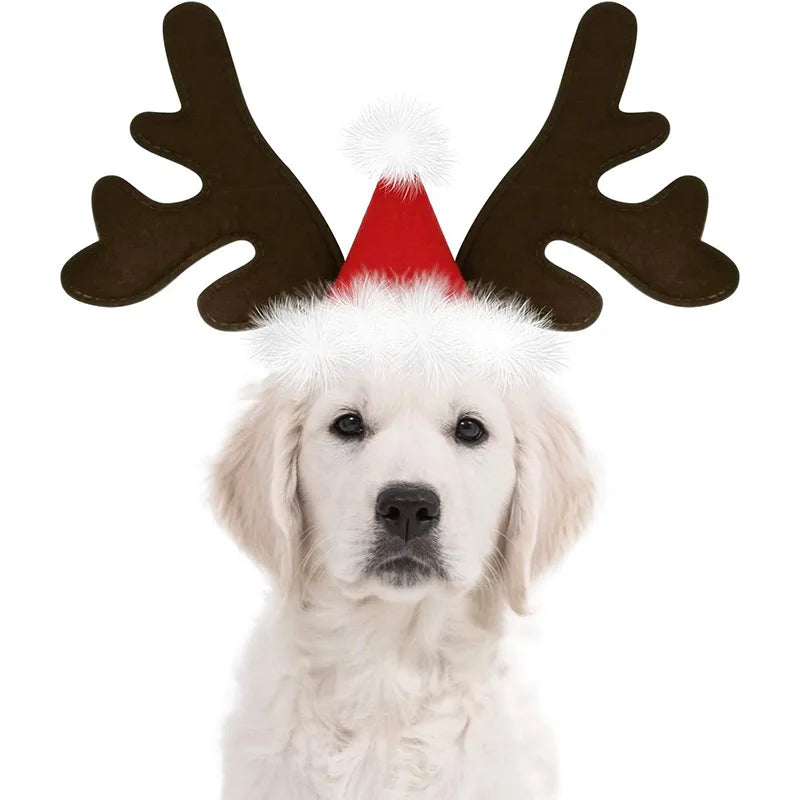 Christmas Reindeer Antler Headband with Santa Hat for Dogs & Cats