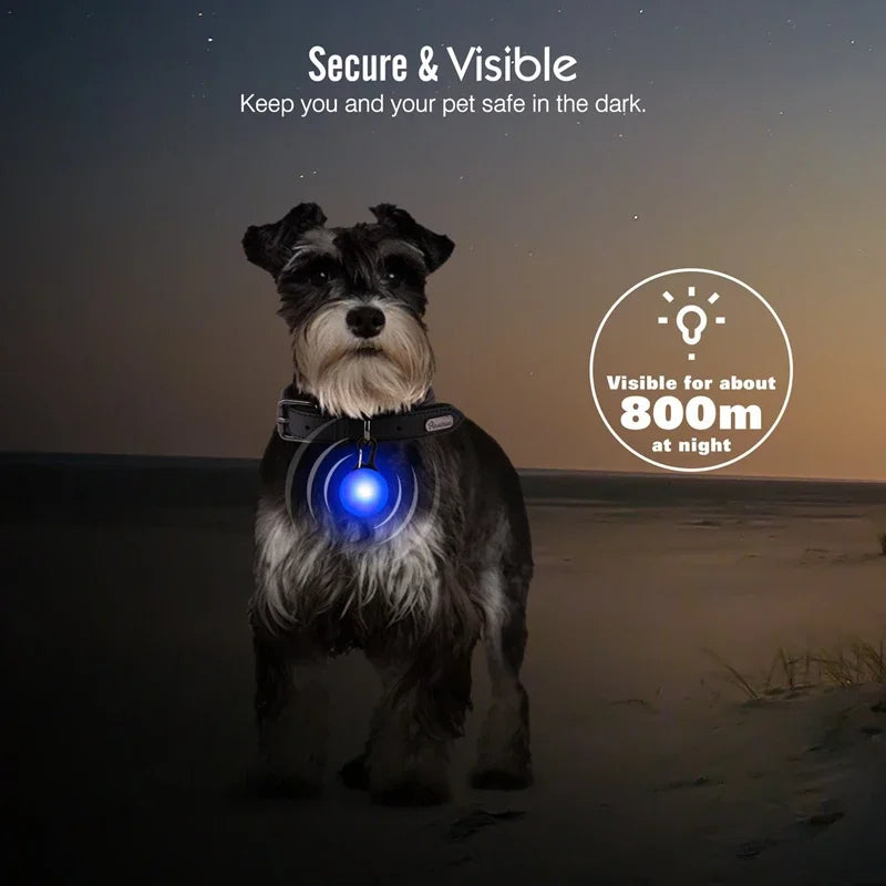 LED Glowing Pet Collar Pendant, Night Safety Light for Dogs & Cats