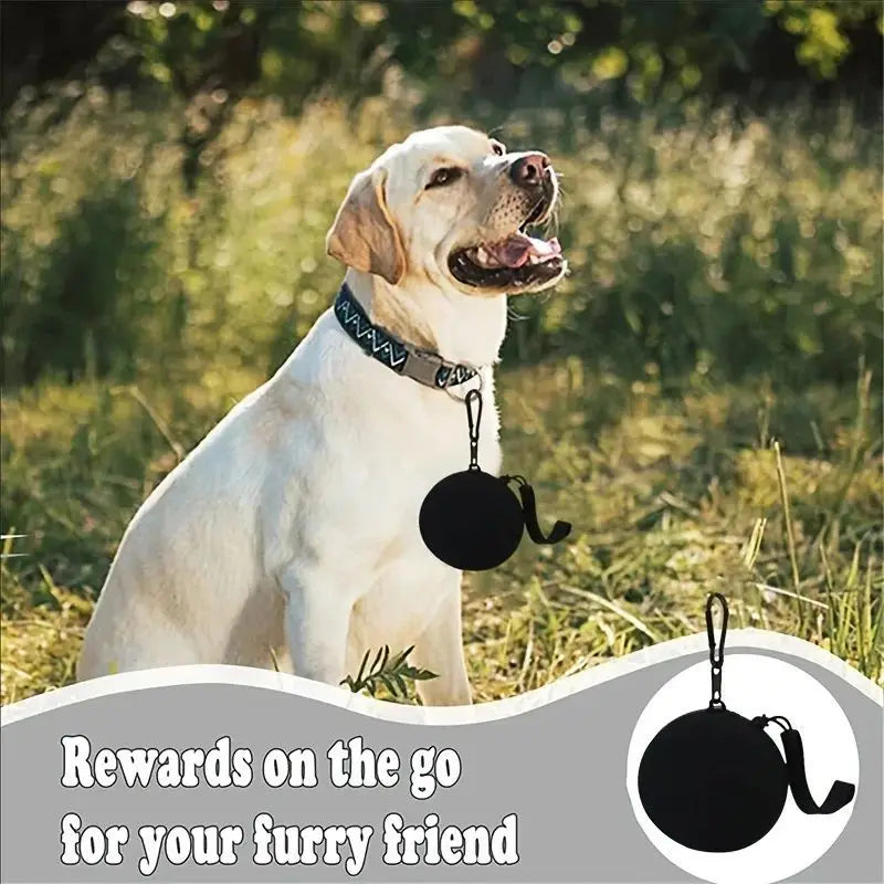 Silicone Dog Treat Pouch, Portable Clip-On Training Snack Holder