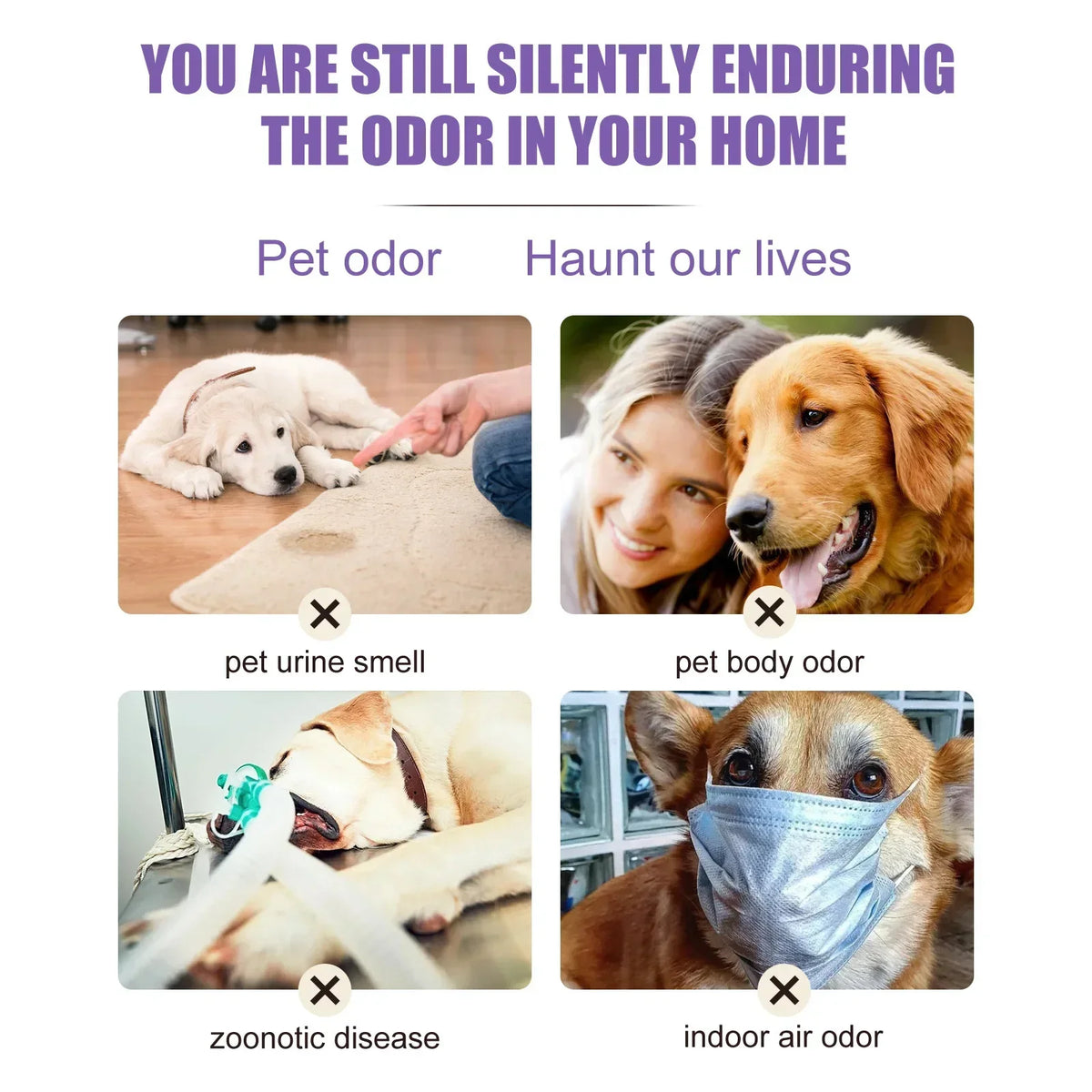 Lavender Pet Deodorizing Spray 50ml, Fresh Scent for Dogs and Cats