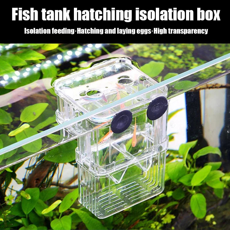 Clear Aquarium Fish Breeder Box, Hatchery for Betta, Guppy & Shrimp