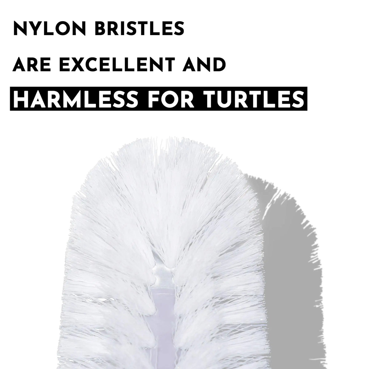 Turtle Shell Scrub Brush with Suction Cup for Easy Reptile Cleaning