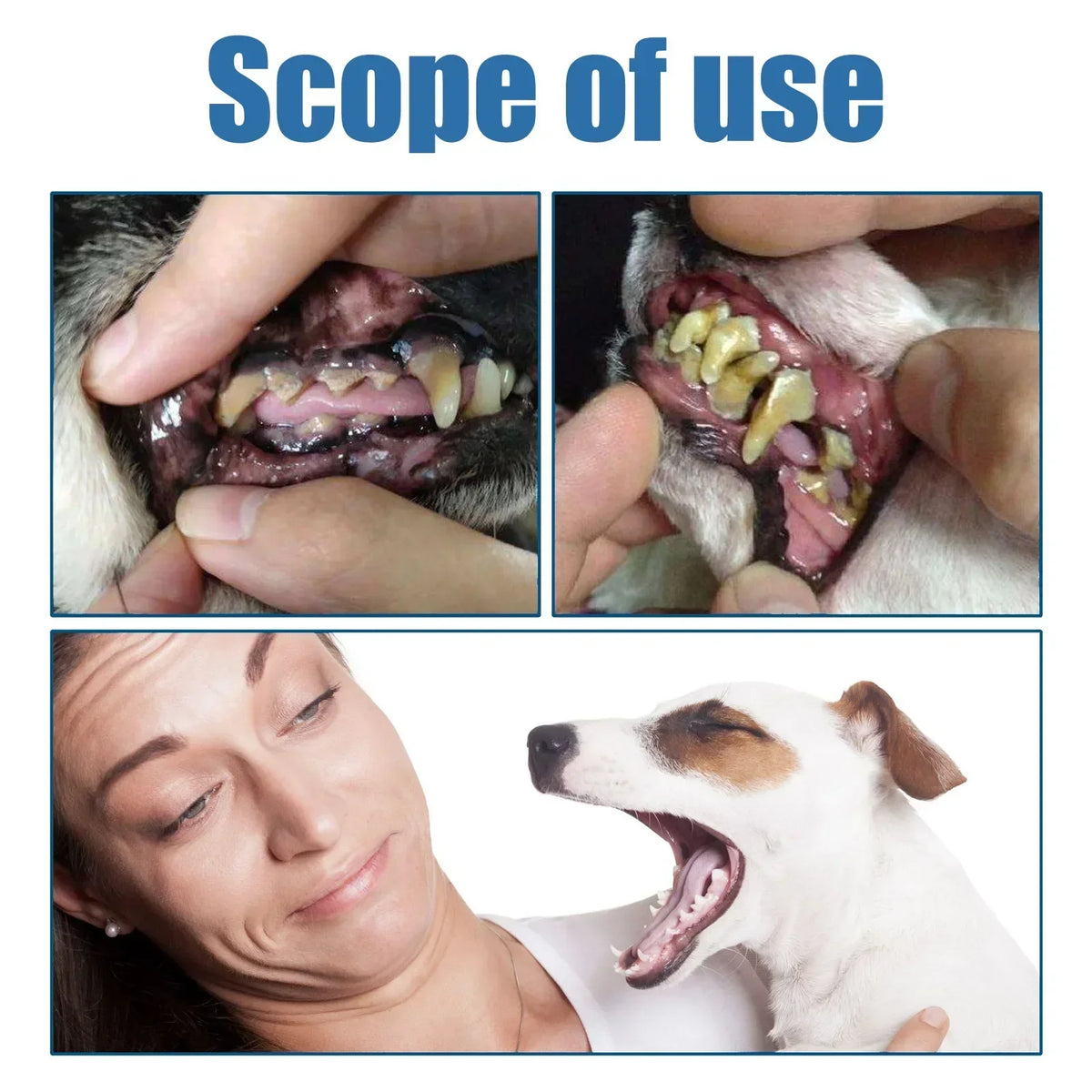 Natural Tartar Remover Foam for Dogs & Cats, Plaque & Fresh Breath