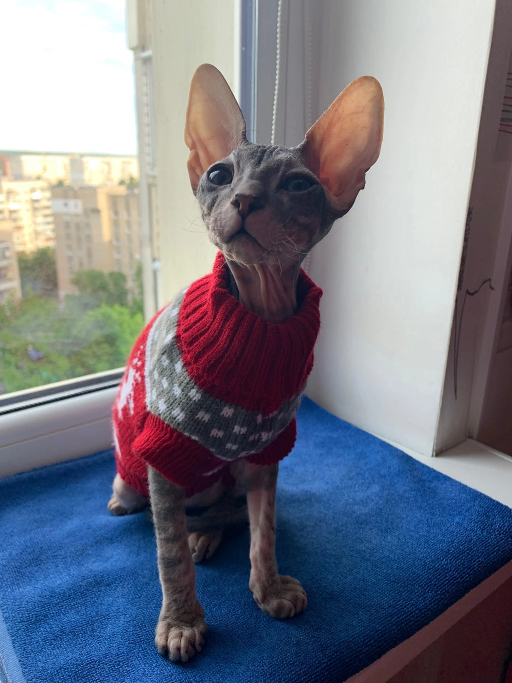 Christmas Dog Sweater, Reindeer Snowflake Knitted Xmas Pullover