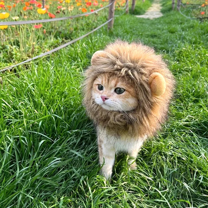 Halloween Lion Mane Wig Costume Hat with Ears for Cats & Small Dogs