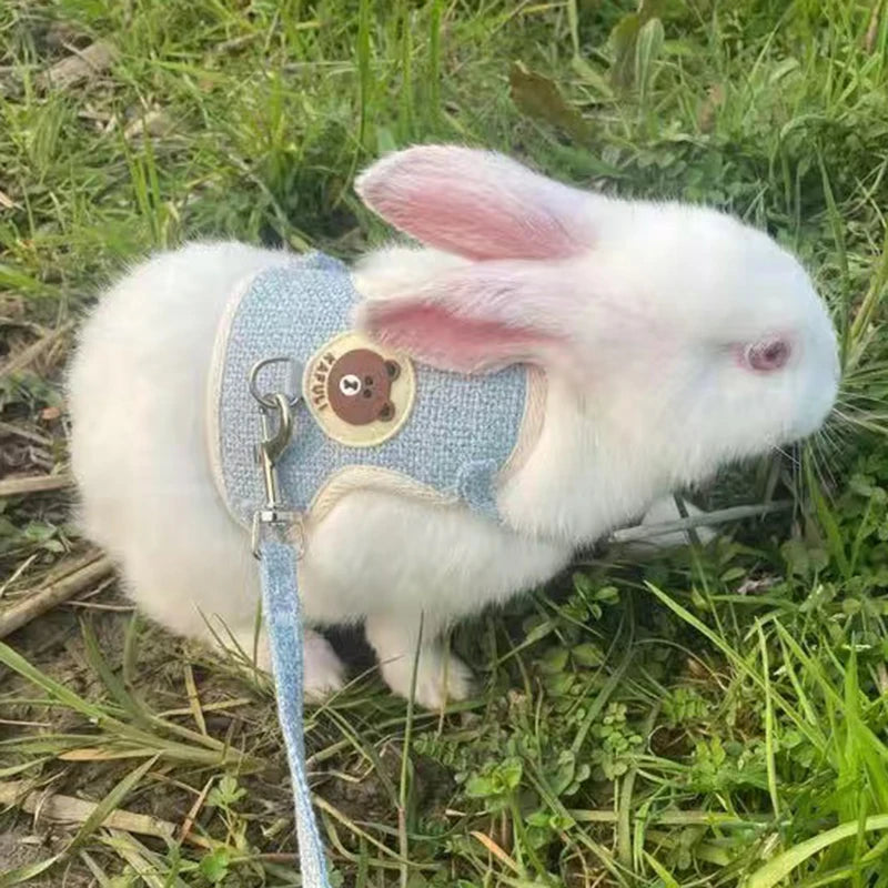 Adjustable Rabbit Harness and Leash Set for Safe Outdoor Walks
