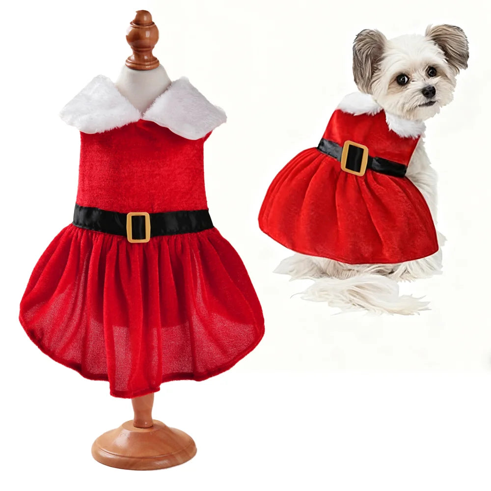 Christmas Santa Costume for Small & Medium Dogs