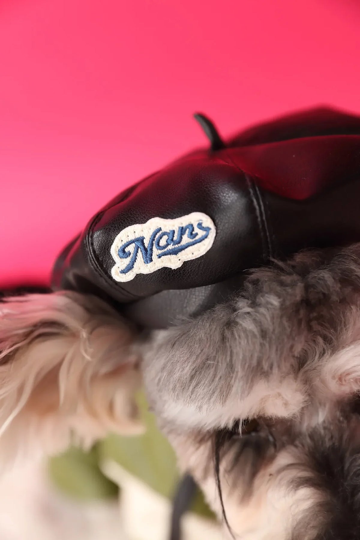 Faux Leather Pumpkin Hat for Dogs, Cute Fall Photo Prop Cap for Pets