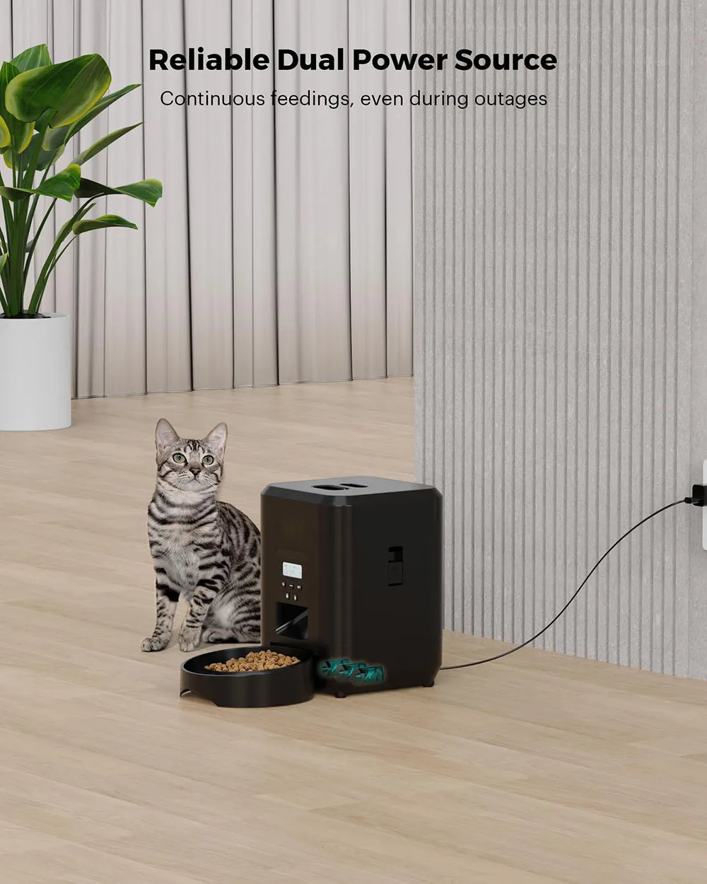 Smart Automatic Pet Feeder with Timer for Cats and Small Dogs