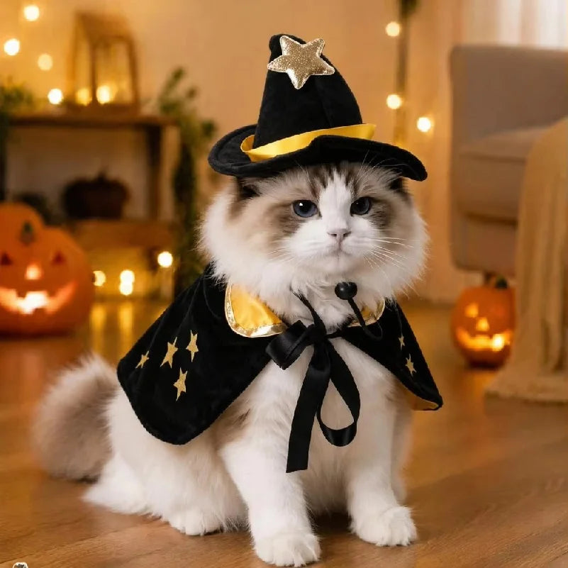 Halloween Witch Cape and Hat Costume for Cats and Small Dogs