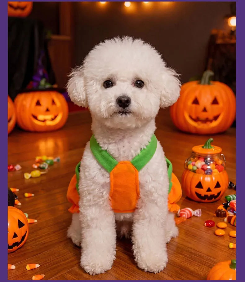 Halloween Pumpkin Overall Costume Dress for Small Dogs & Cats