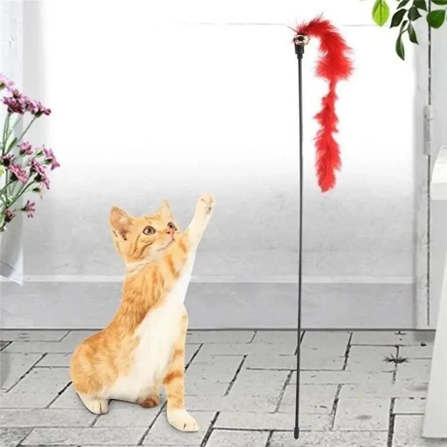 5-Pack Turkey Feather Cat Teaser Wand with Bell