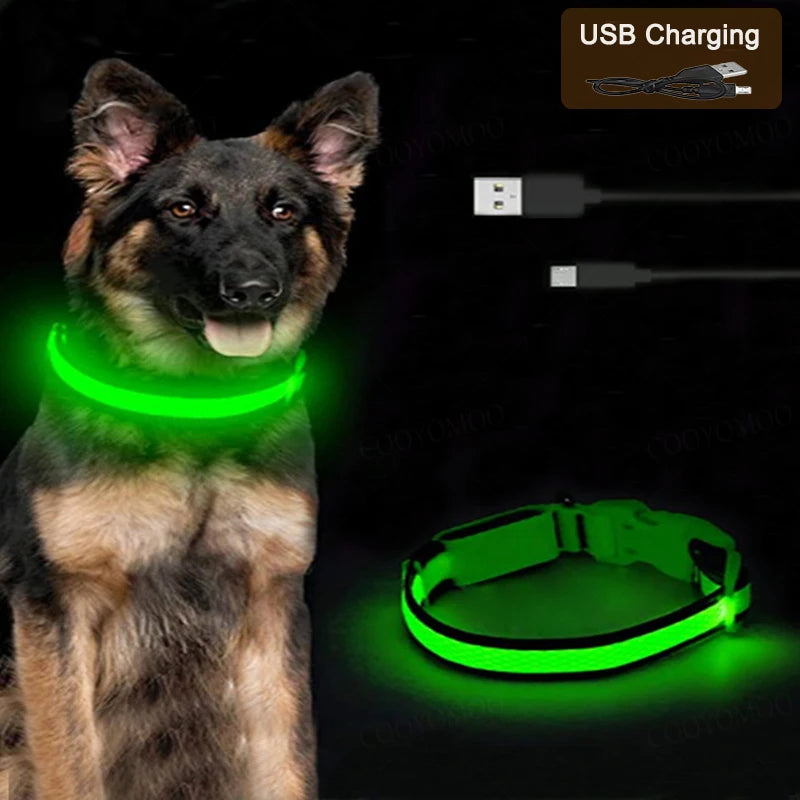 LED Glow Dog Collar – USB Rechargeable Night Safety Collar