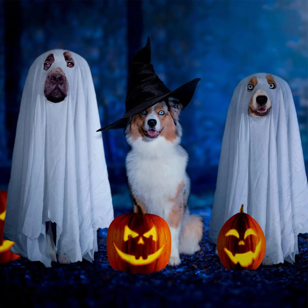 Dog Ghost Halloween Costume Cosplay Party Outfit for Pets