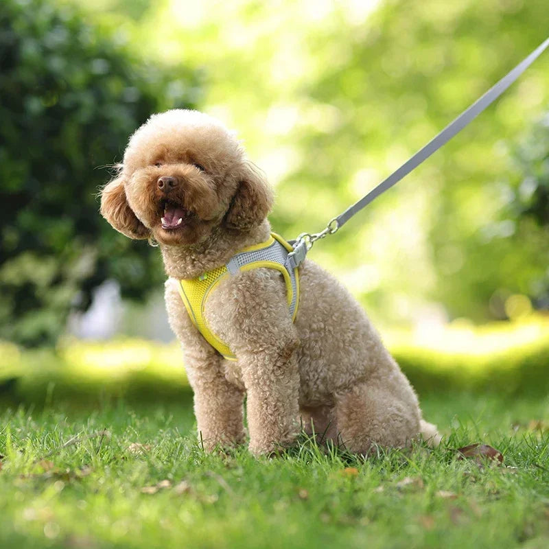 Puppy Harness & Leash Vest Set for Small Dogs, Adjustable
