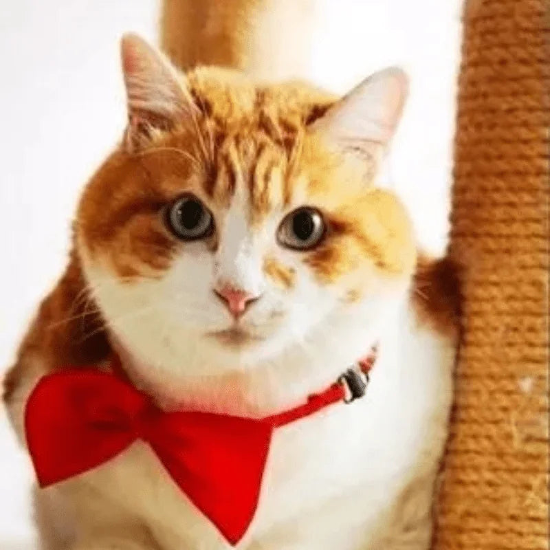 Adjustable Pet Bow Tie Collar for Dogs & Cats, Many Colors