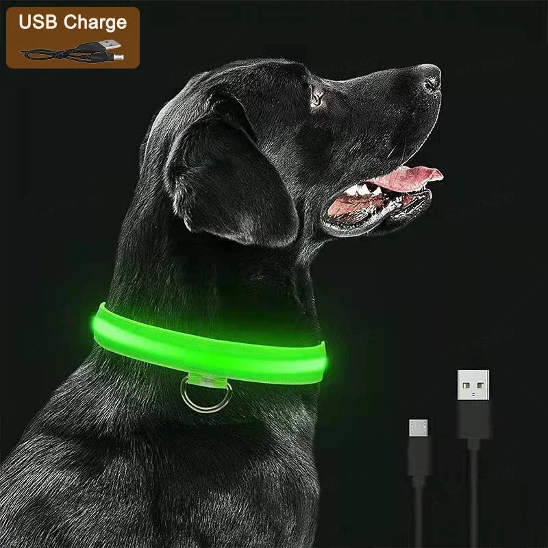 LED Glow Dog Collar – USB Rechargeable Night Safety Collar