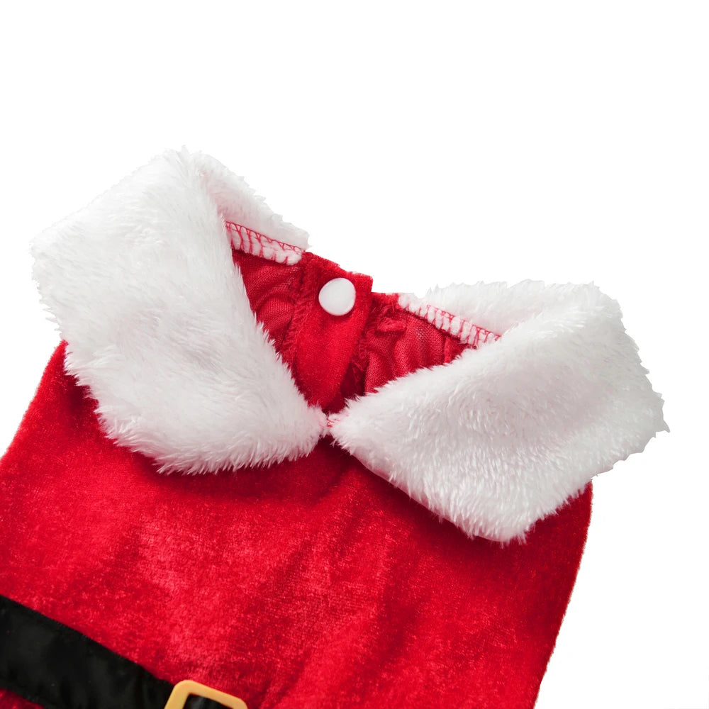 Christmas Dog Dress for Small Dogs & Cats, Santa Party Outfit