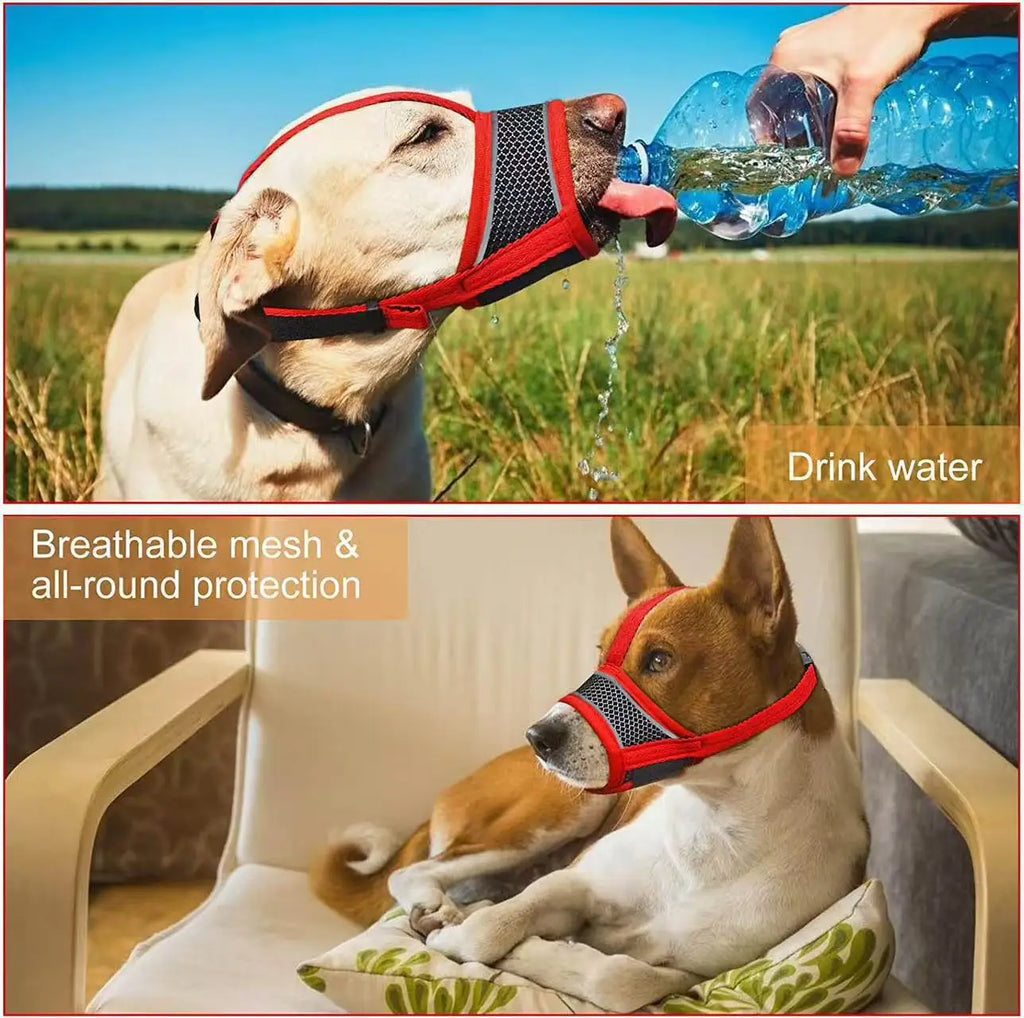 Breathable Mesh Dog Muzzle with Reflective Strap, Allows Drinking