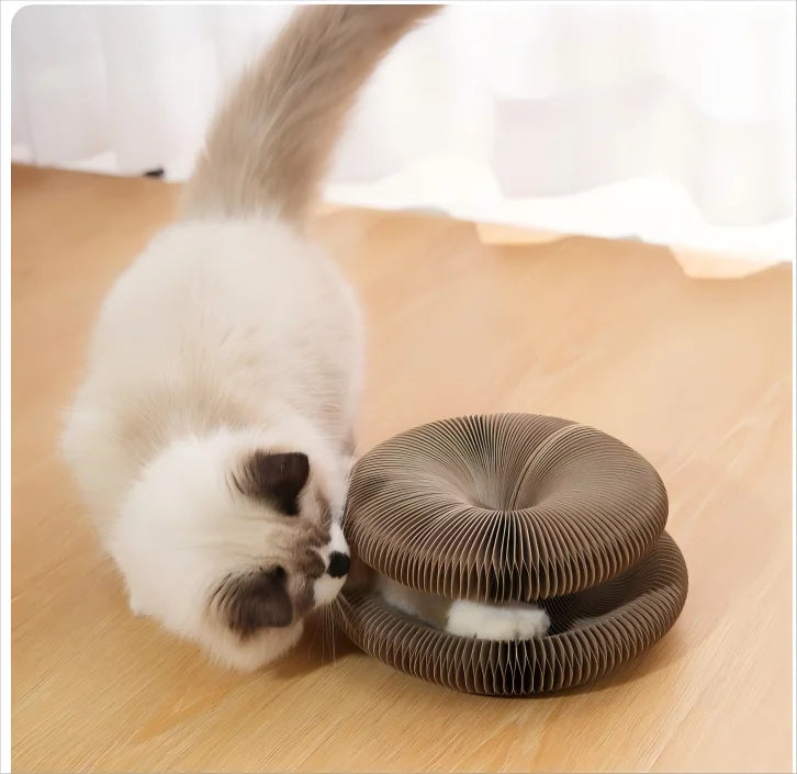 Foldable Accordion Cardboard Cat Scratching Board Lounge