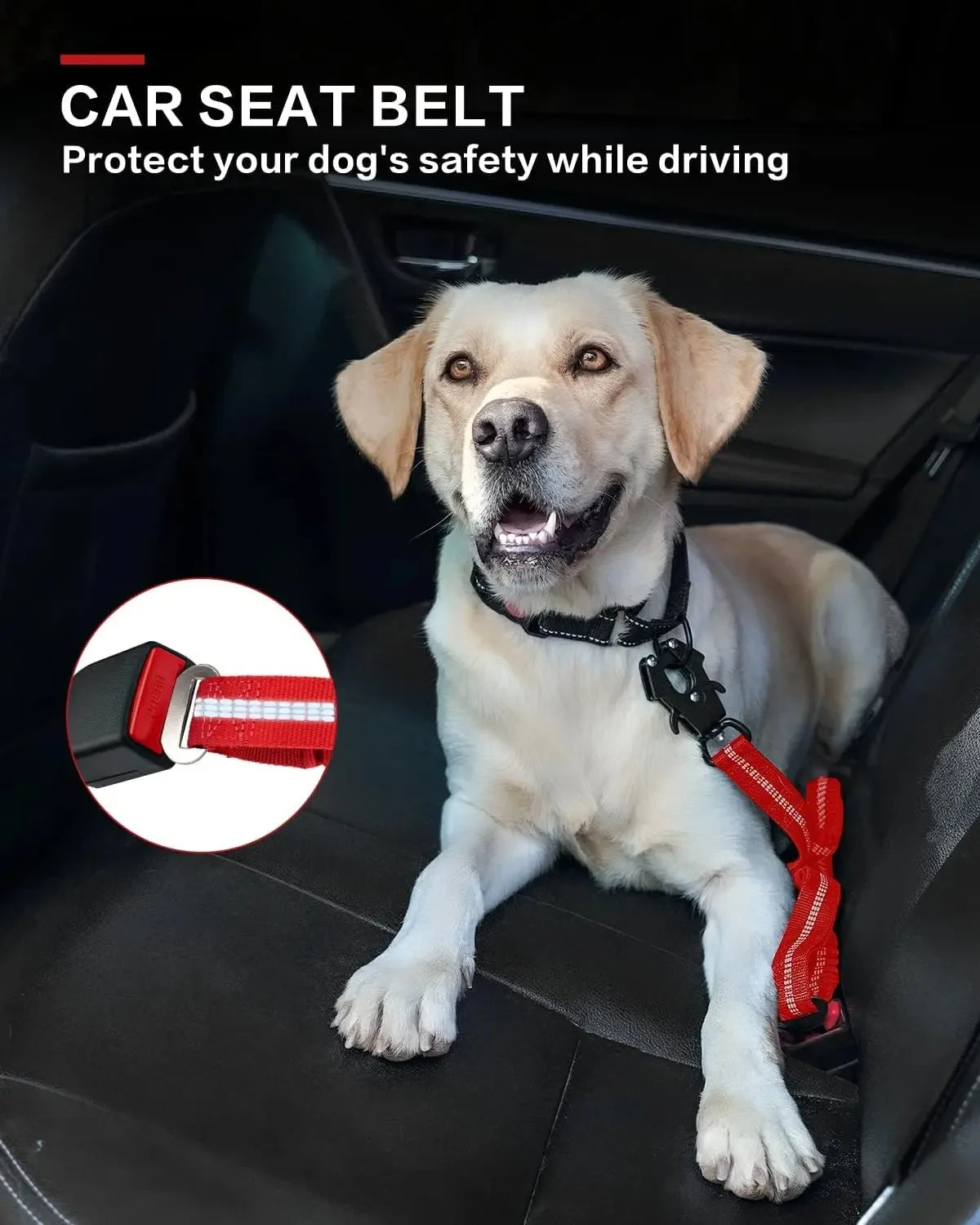 Heavy-Duty Tactical Bungee Dog Leash with 2 Padded Handles & Seatbelt