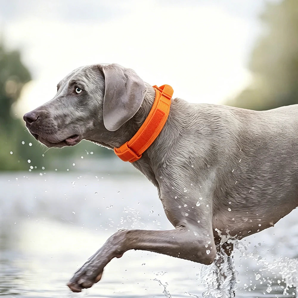 Heavy-Duty Tactical Dog Collar with Control Handle for Large Dogs