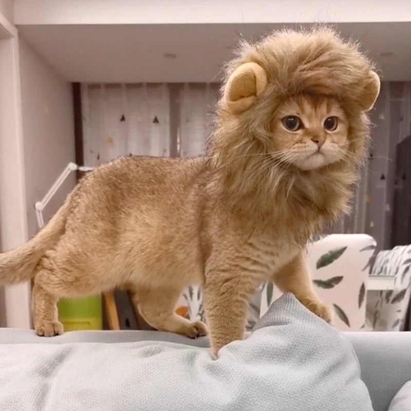 Halloween Lion Mane Wig Costume Hat with Ears for Cats & Small Dogs