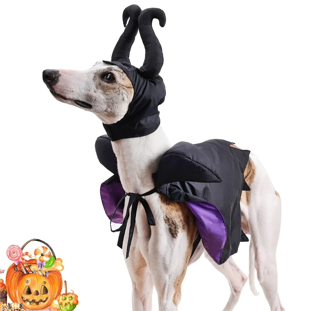 Halloween Maleficent Cape with Hat Costume for Dogs & Cats Party