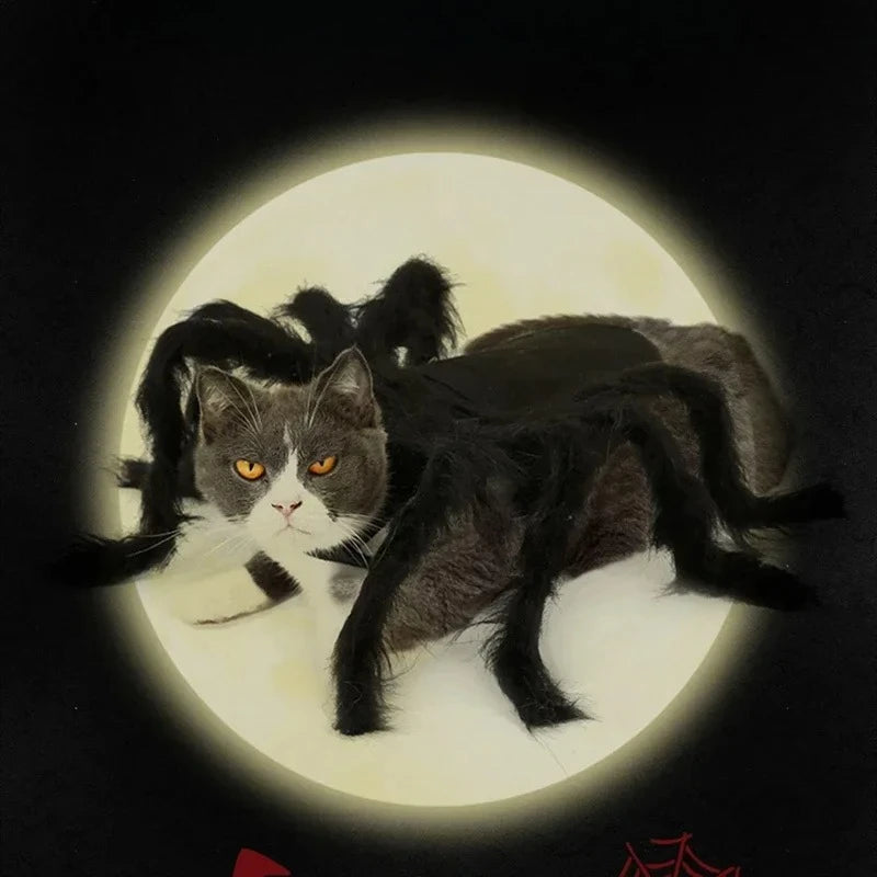 Furry Spider Costume for Dogs and Cats, Easy-On Halloween Pet Outfit