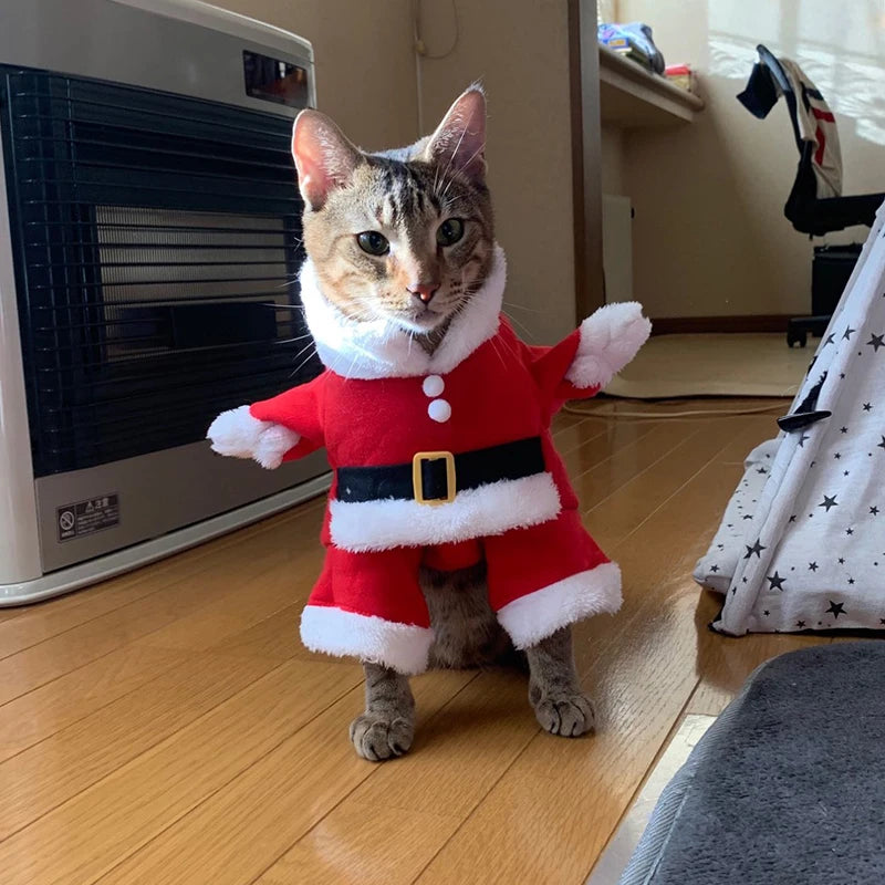 Funny Santa Claus Costume for Small & Medium Dogs and Cats