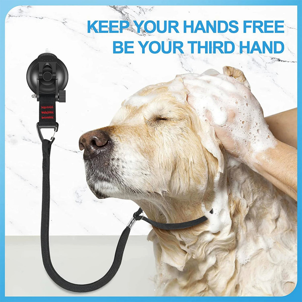 Adjustable Pet Grooming Loop for Bathing and Nail Trims