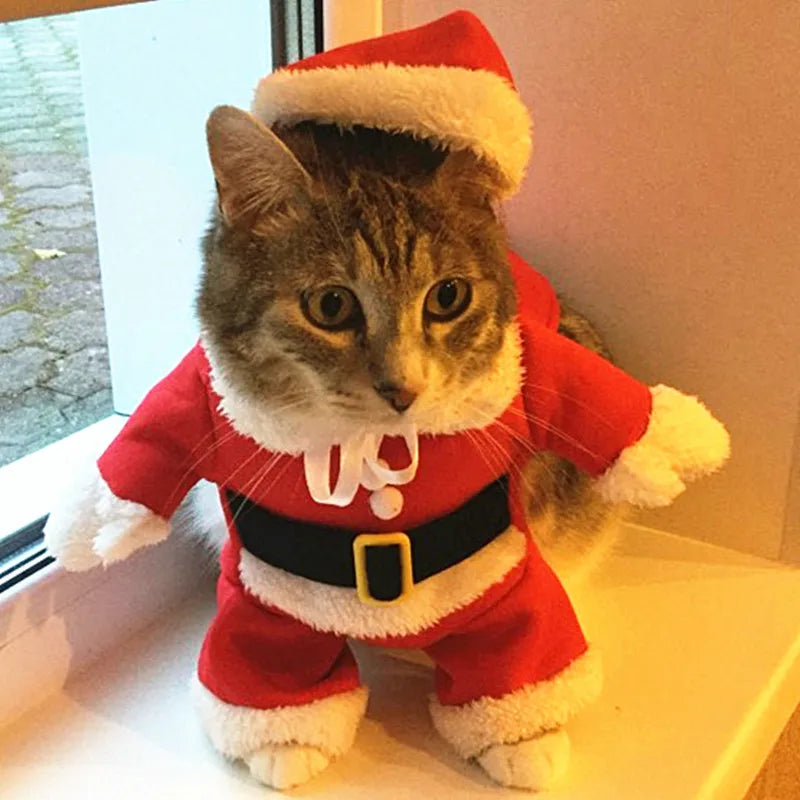 Funny Santa Claus Costume for Small & Medium Dogs and Cats