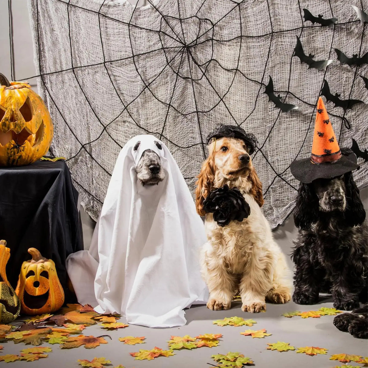Dog Ghost Halloween Costume Cosplay Party Outfit for Pets