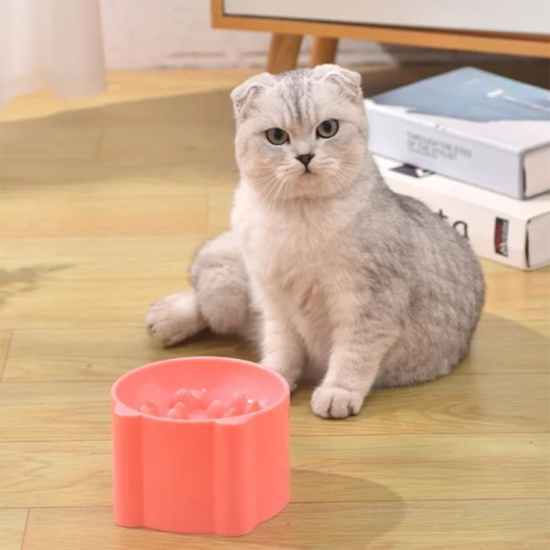Raised Anti-Choking Cat Food Bowl with Neck-Friendly Tall Base