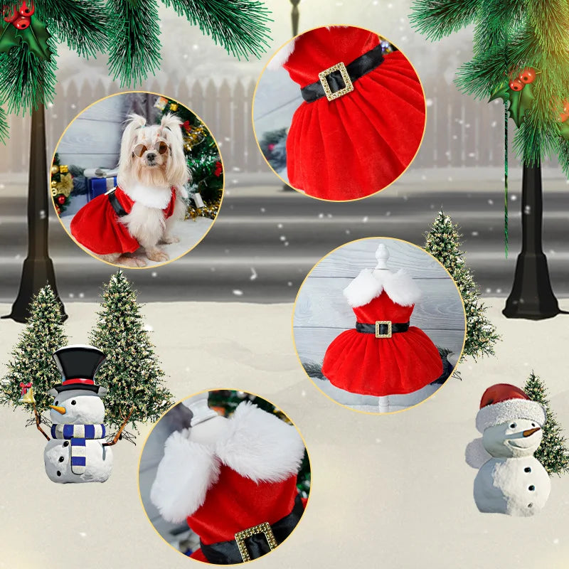Christmas Dog Dress for Small Dogs, Holiday Pet Clothes