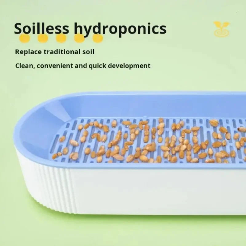 Hydroponic Cat Grass Grow Kit, Soil-Free Planter for Indoor Cats