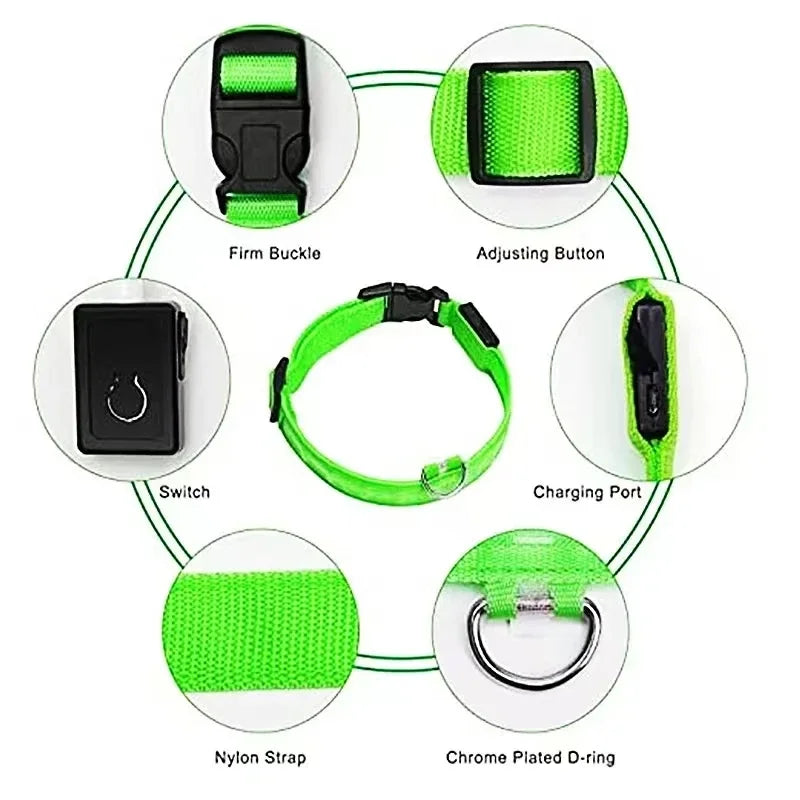 LED Glow Dog Collar – USB Rechargeable Night Safety Collar