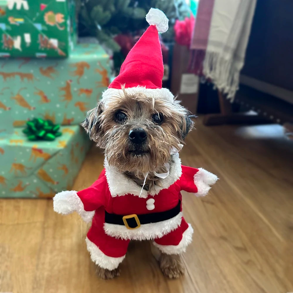 Funny Santa Claus Costume for Small & Medium Dogs and Cats