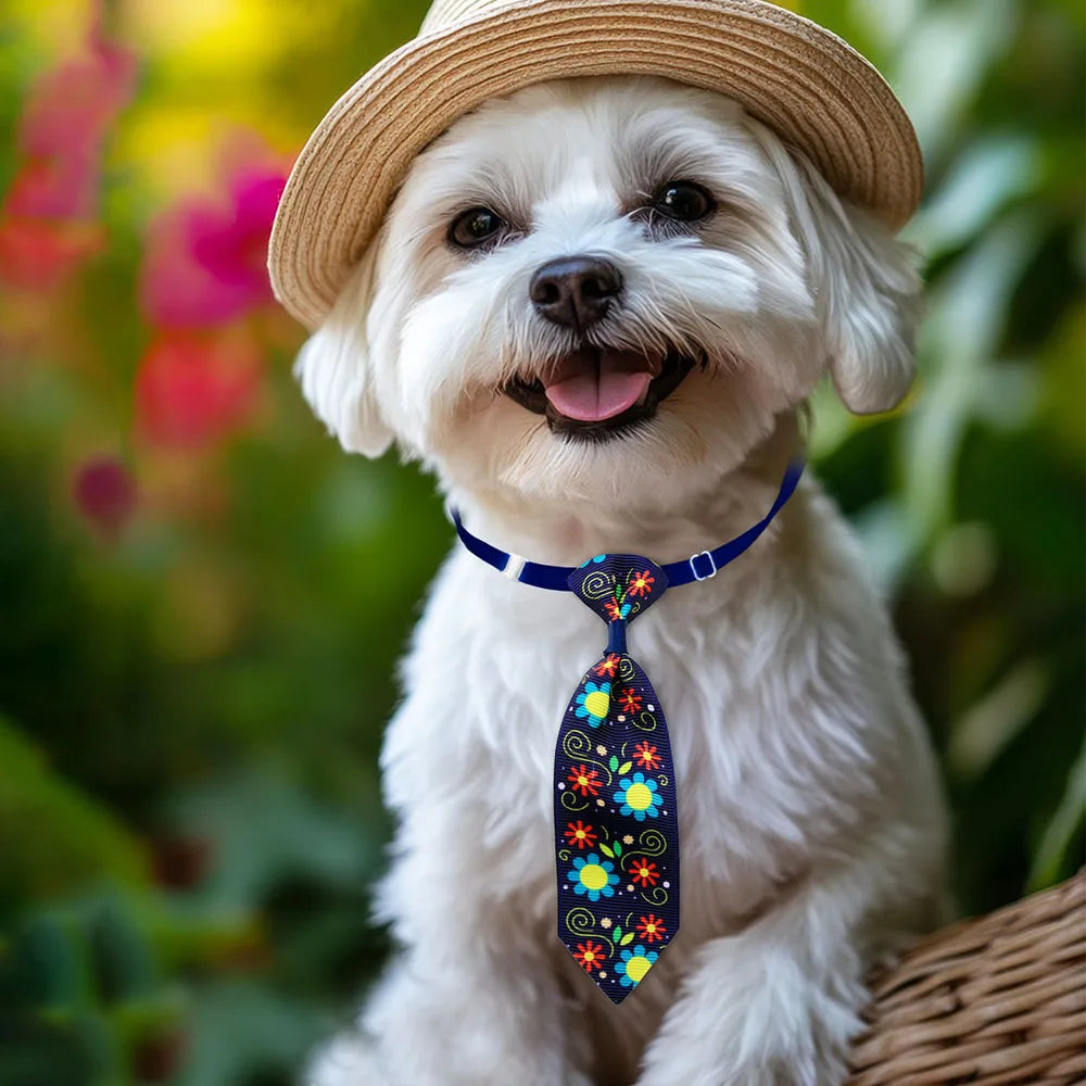 Adjustable Bone Shaped Pet Neckties for Grooming 50 Pack