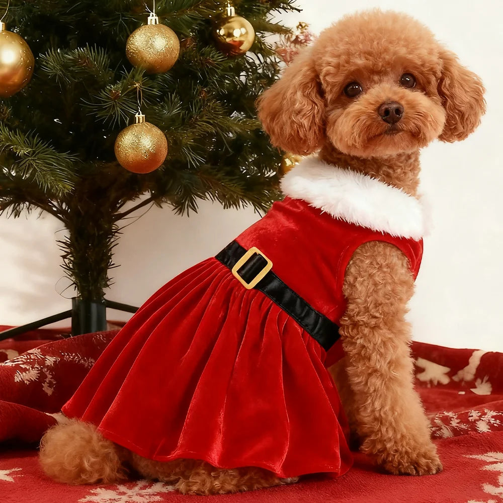 Christmas Santa Costume for Small & Medium Dogs