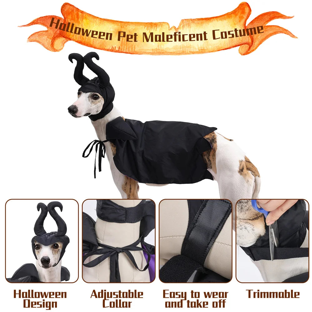 Halloween Maleficent Cape with Hat Costume for Dogs & Cats Party